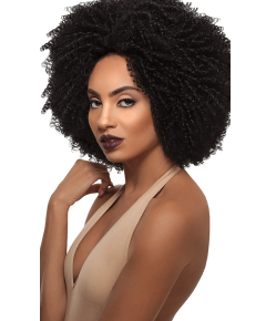 Big Beautiful Hair Syn Lace Front 4C Coily Wig